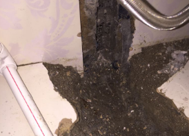 城厢卫生间测漏水哪家好