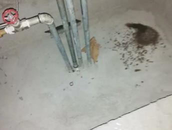 城厢卫生间测漏水价格明细