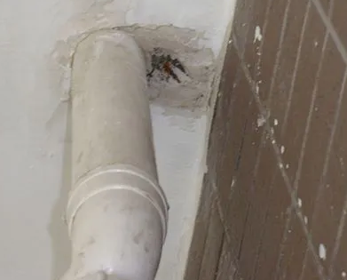 城厢漏水检测哪家好